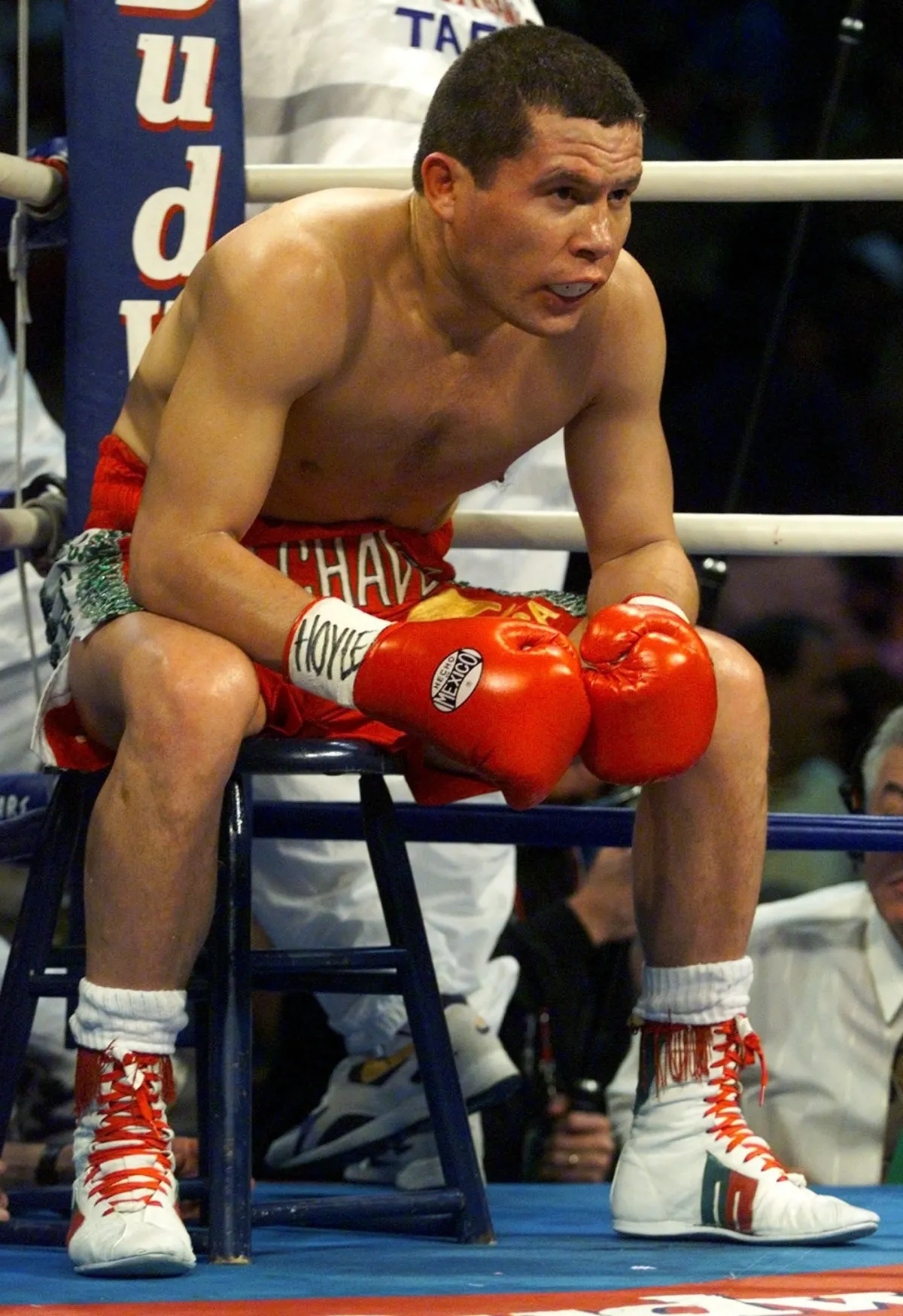 Julio Cesar Chavez